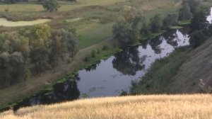 Северский Донец зарос водорослями "пистии". Это просто УЖАС!!! Тропический сорняк хищник.