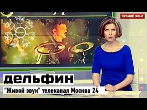 Дельфин | "Живой звук" - Москва 24