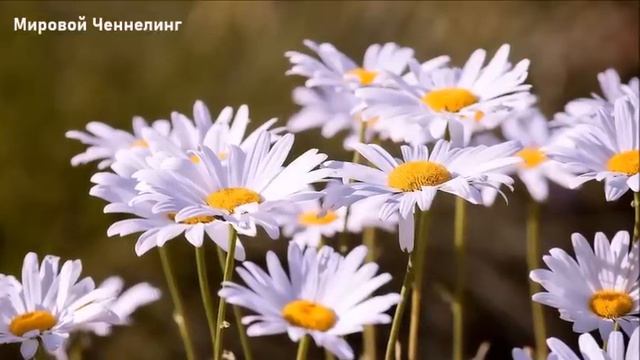 Май 2023 – отчуждение. Послание Хроник Акаши.