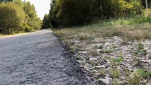 КОРОЧЕ ГОВОРЯ, Я БЕЗДОМНЫЙ КОТЕНОК Лайки 2 [От первого лица] История одной жизни