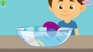 Float or Sink - Why do things float- Why do things sink- Lesson for kids