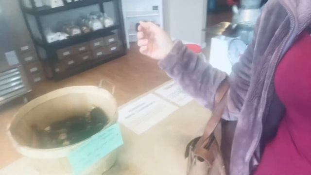 Магазин без продавца. смотреть онлайн