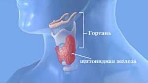 Настрой от заболеваний щитовидной железы