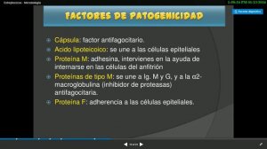 Streptococcus microbiologia #medicina