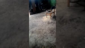 Замена двигателя крайслер на змз 406(свап),под евросалон, часть.1