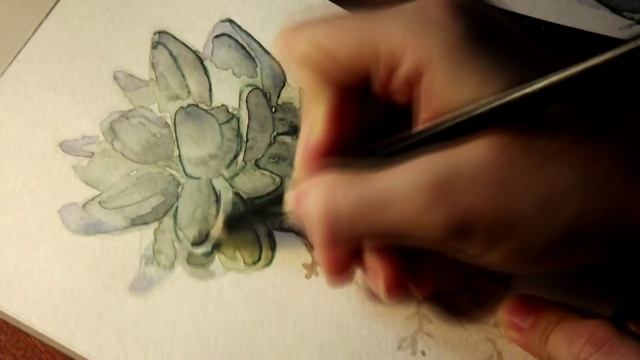 Sketshbook:succulents смотреть онлайн