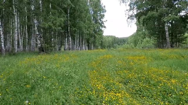 Сплав (Поход) по реке Ай. От Межевого до Лаклов. Part #2.3 смотреть онлайн