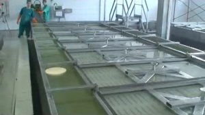 Посолка сыра