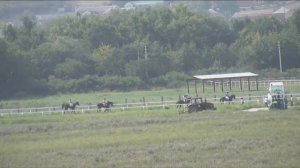 Прямая трансляция c Грозненского ипподрома им. С-Х Закаева 20.08.2022