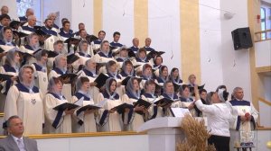 Пшеница и плевелы, так мало времени осталось вместе вам расти / Песня