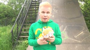 KFC - ПРОБУЮ ВСЕ ЛЕТНЕЕ МЕНЮ, "СОЧНОЕ ЛЕТО!"