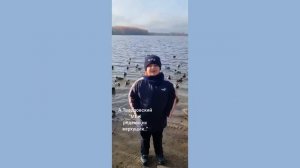 Твардовский  Александр Меж  редеющих макушек