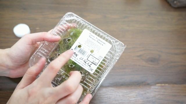 ОРХИДЕЯ phal. Sogo GOTRIS:гниль в шее,ИТОГ.Фаленопсис Сого Готрис (мини,пелорик). смотреть онлайн