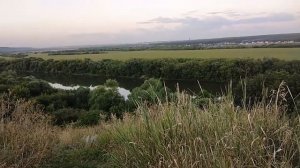 Результат рыбалки на отводной поводок |  холероподобный вибрион на Дону | 7 августа 2022