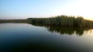 охота на  утку     11 09  17