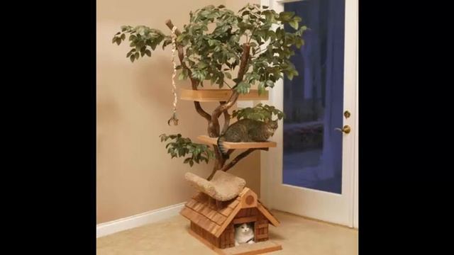 Необыкновенные полки для цветов. смотреть онлайн