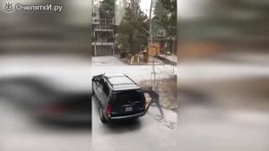 Медведь залез в машину? и ещё завёл её.
