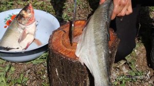 Cooking for Uzbek Fish in Kazan | Приготовление Еды по Узбекский Рыба в Казане Чебуреки по Домашнем
