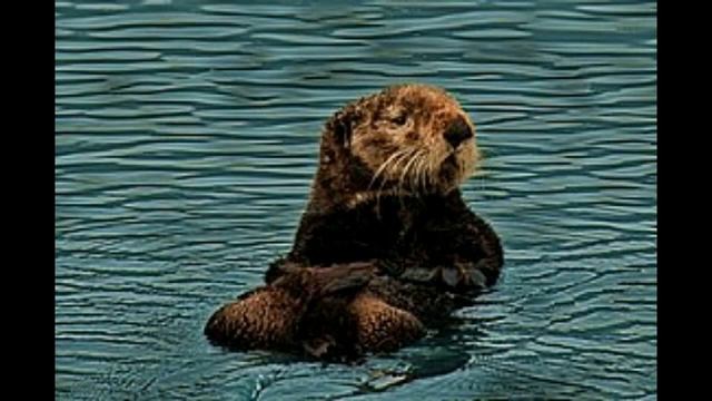 20 августа этот день в истории смотреть онлайн