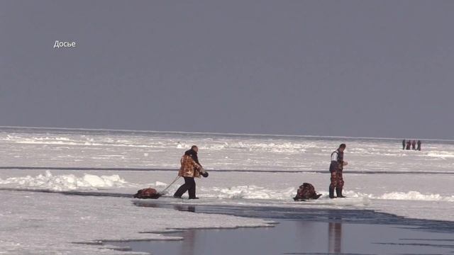 В первый раз на зимней рыбалке! Ловим и готовим ЗУБАРЯ, советы и хитрости!