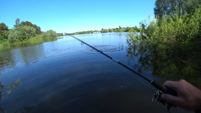 Жерех в начале лета на силикон, уокеры и стикбейты. смотреть онлайн