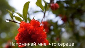 Антуан де Сент-Экзюпери "Молитва"