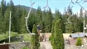 Шашлык по рецепту Ольги Матвей