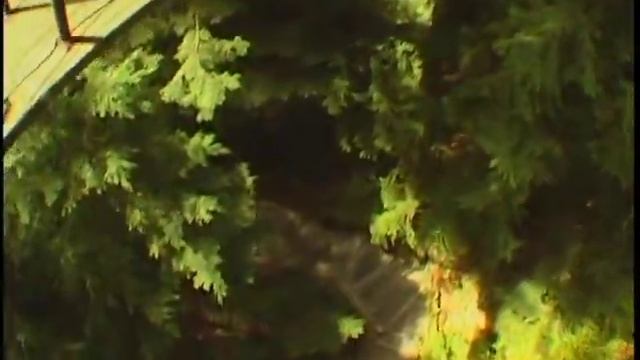 Discover Capilano Suspension Bridge смотреть онлайн