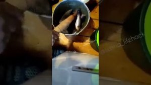 Как быстро и легко почистить замороженых карасей