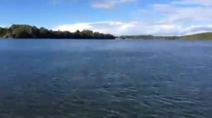 Катер Стрелка-м