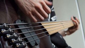 KORN - Insane | Bass Cover