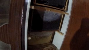 Как мы храним рамки с мёдом и сушь