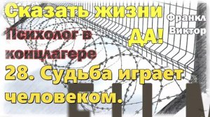 28. Судьба играет человеком. Сказать жизни „Да!“: Психолог в концлагере» Виктор Франкл.