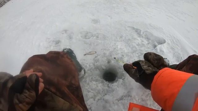 гопро 7 блэк.На Рыбалку,для души!!! смотреть онлайн