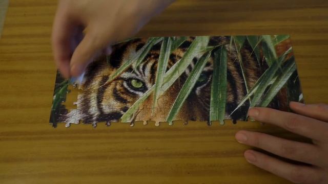 Пазл Изумрудный лес от Castorland Puzzle смотреть онлайн