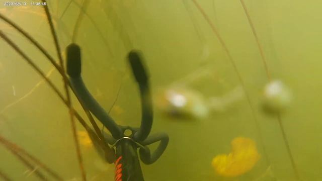 ПО р.Воронеж - август 2023 смотреть онлайн