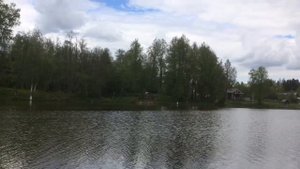 Стерлядка на платнике. Стерлядь запечённая. Проще некуда. Улётная поездка.