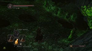 Dark Souls 2 All Sublime Bone Dust. Очищенный костяной прах.