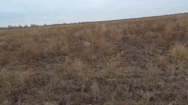 Открытие охоты на зайца 2023-2024. смотреть онлайн