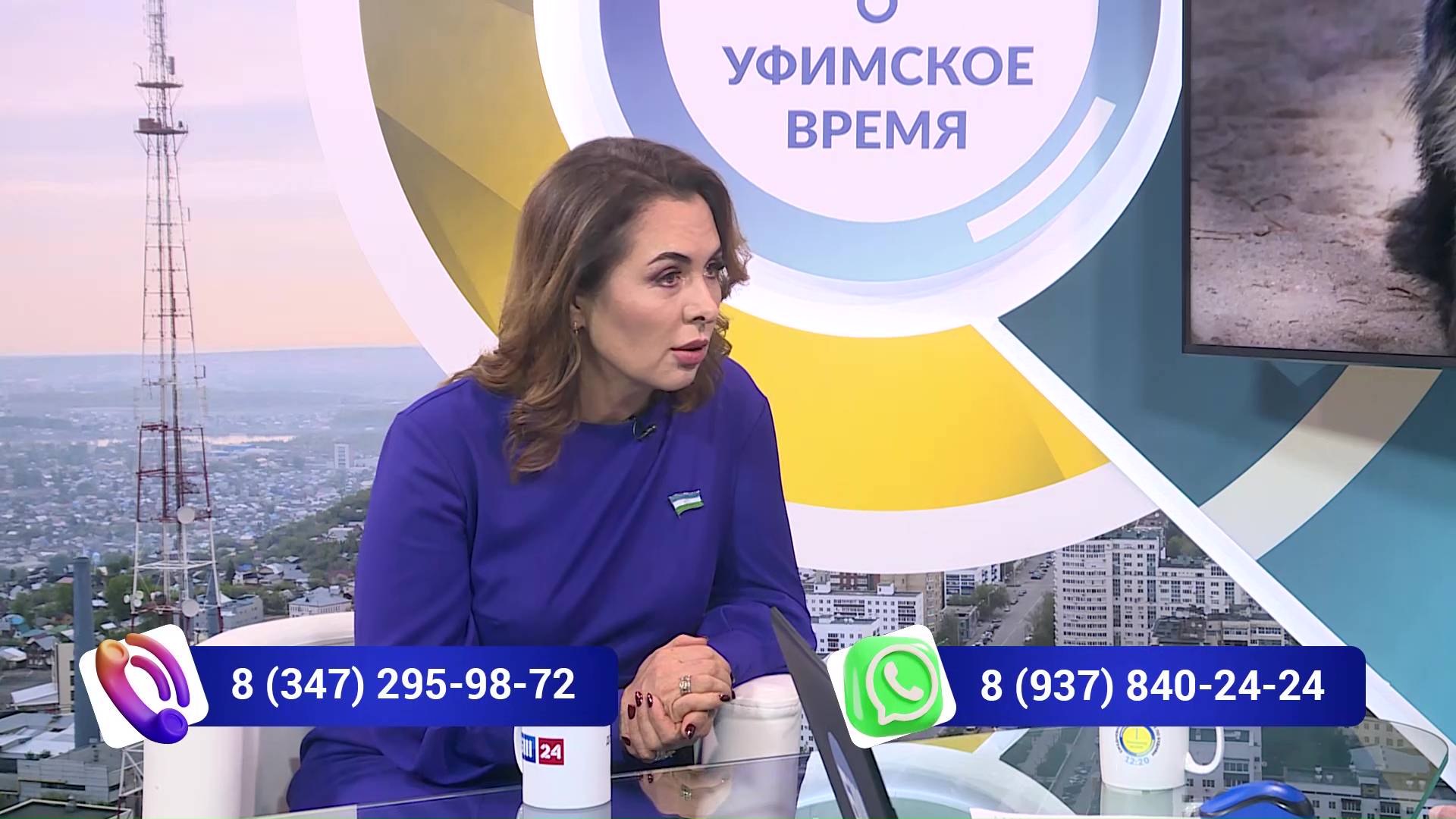 Өфө ваҡыты” 21 март: эттәр өсөн – миллиард һум