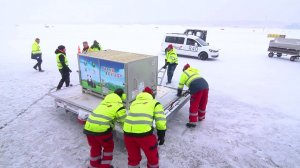 Большие панды прибыли в финский зоопарк на самолете «Волга-Днепр»