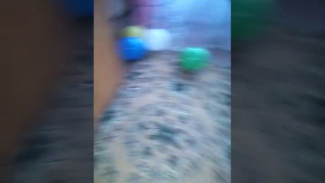 Треш пранк над аператором рисуем разные предметы и игрушки стрим смотреть онлайн