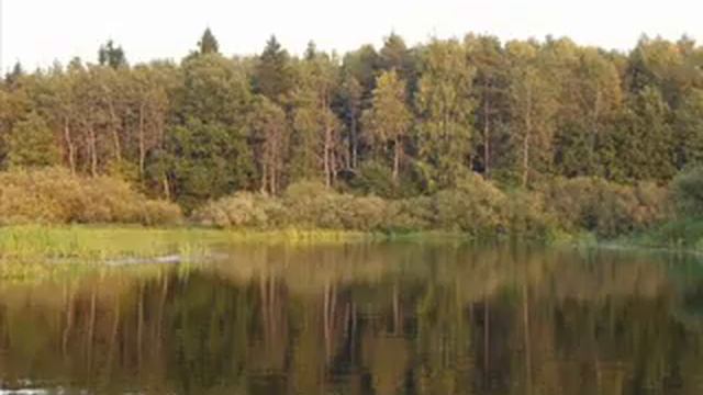 Константа восьмёра