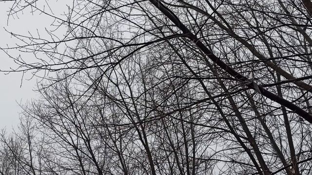 16 декабря народный праздник Иоанн Молчальник . Что делать нельзя. Народные приметы и традиции.