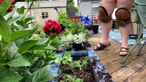 Dodging Rain to Plant Deck Pots