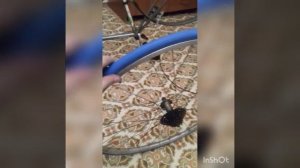 Покрышка для велостанка Tacx