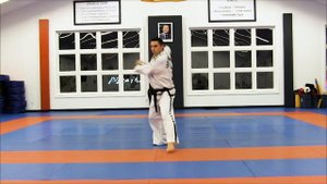 2 ГУП - Тэ Гэ(Toi Gye)