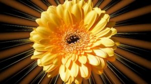 ТЫ СУДЬБА МОЯ  Сергей Завьялов автор Любовь Куц