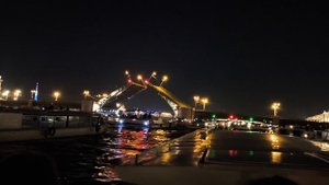 Питер. Ночь. Мосты.