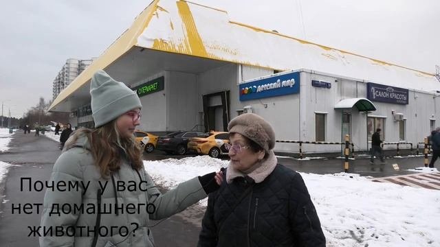 Домашнее животное, медиатон 2 тур